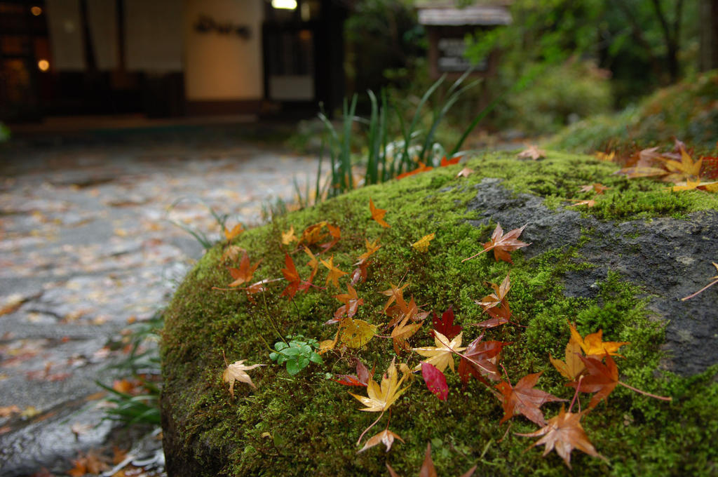 Yamamizuki Hotel Minamioguni Buitenkant foto
